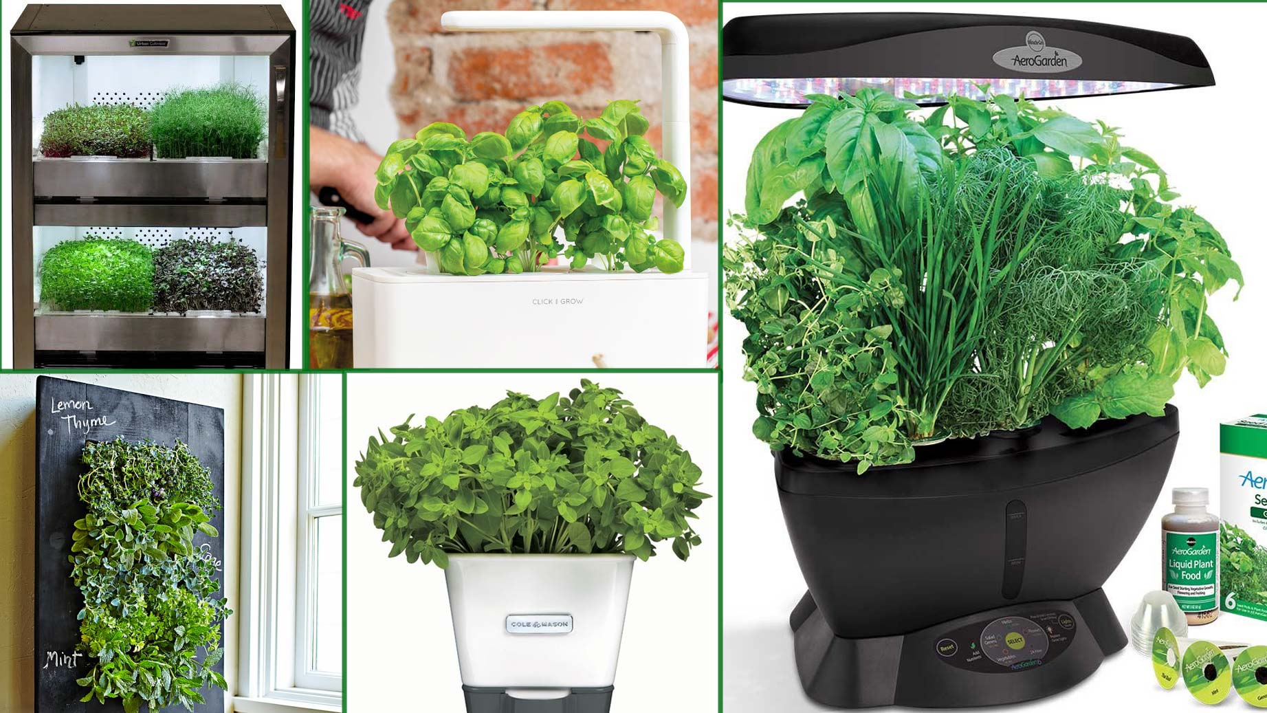 Indoor Herb Growing Kits Even Die Hard Plant Killers Can T Kill