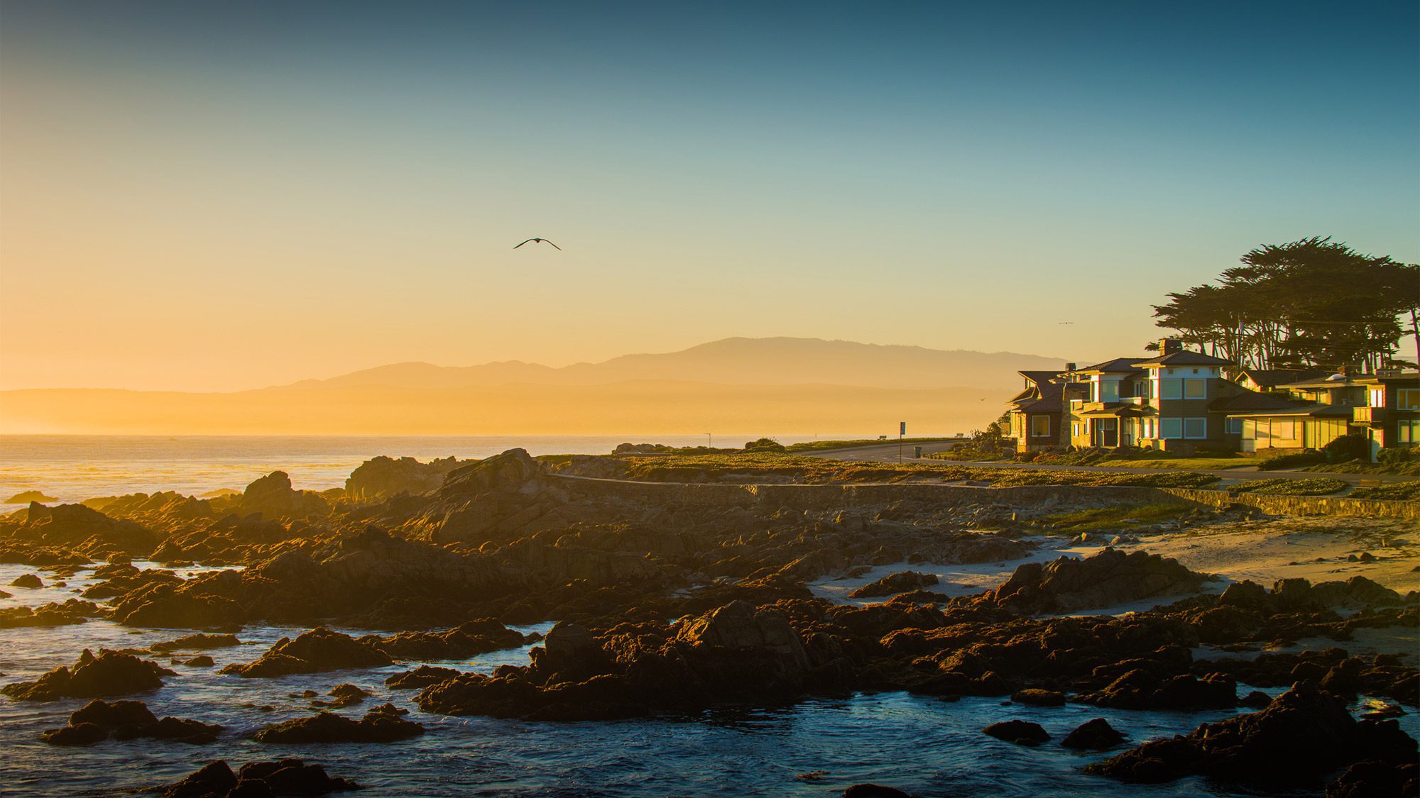 Morning in Monterey, CA