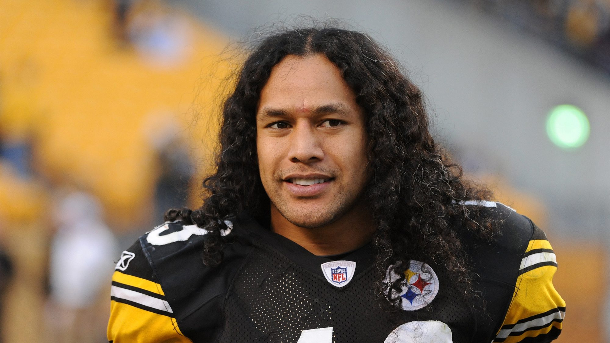 Troy Polamalu