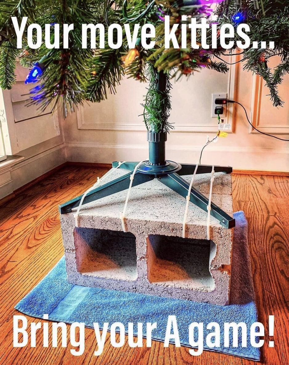 pet-proof Christmas trees