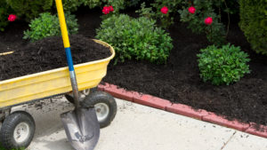 Want Free Mulch For Your Garden Here S Where To Find It