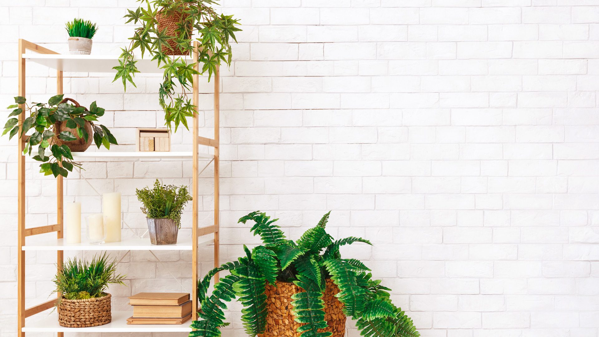 8 Surprisingly Delightful Ways to Accessorize Your Home with Plants