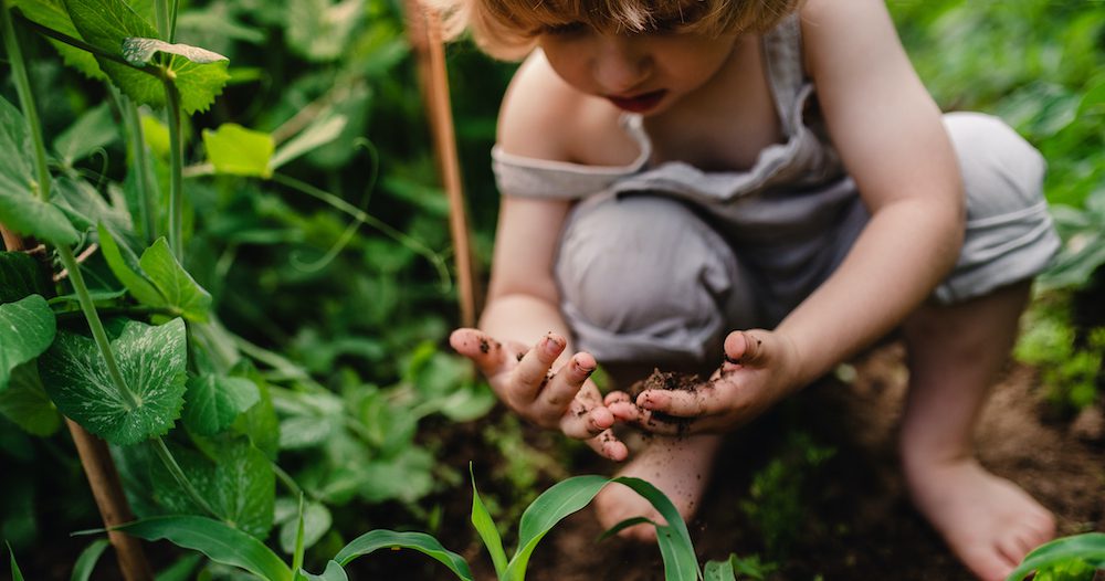 A guide to types of dirt