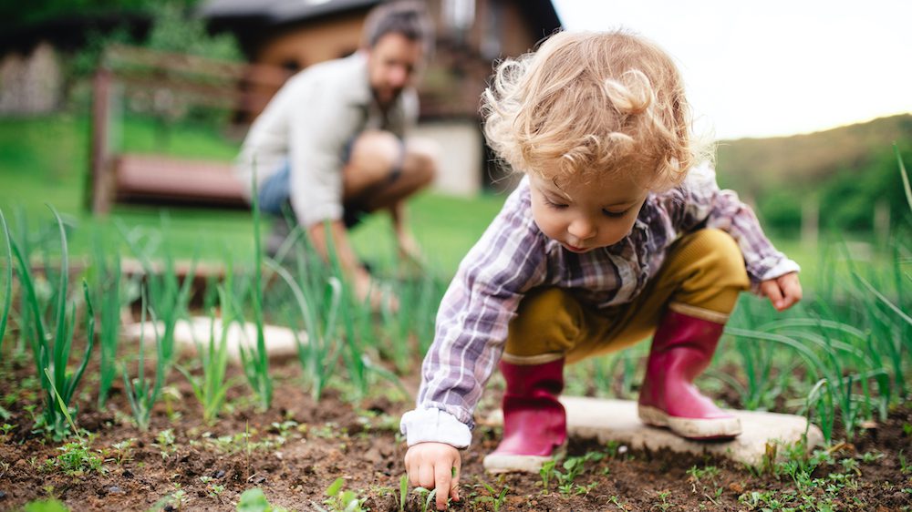 Gardening