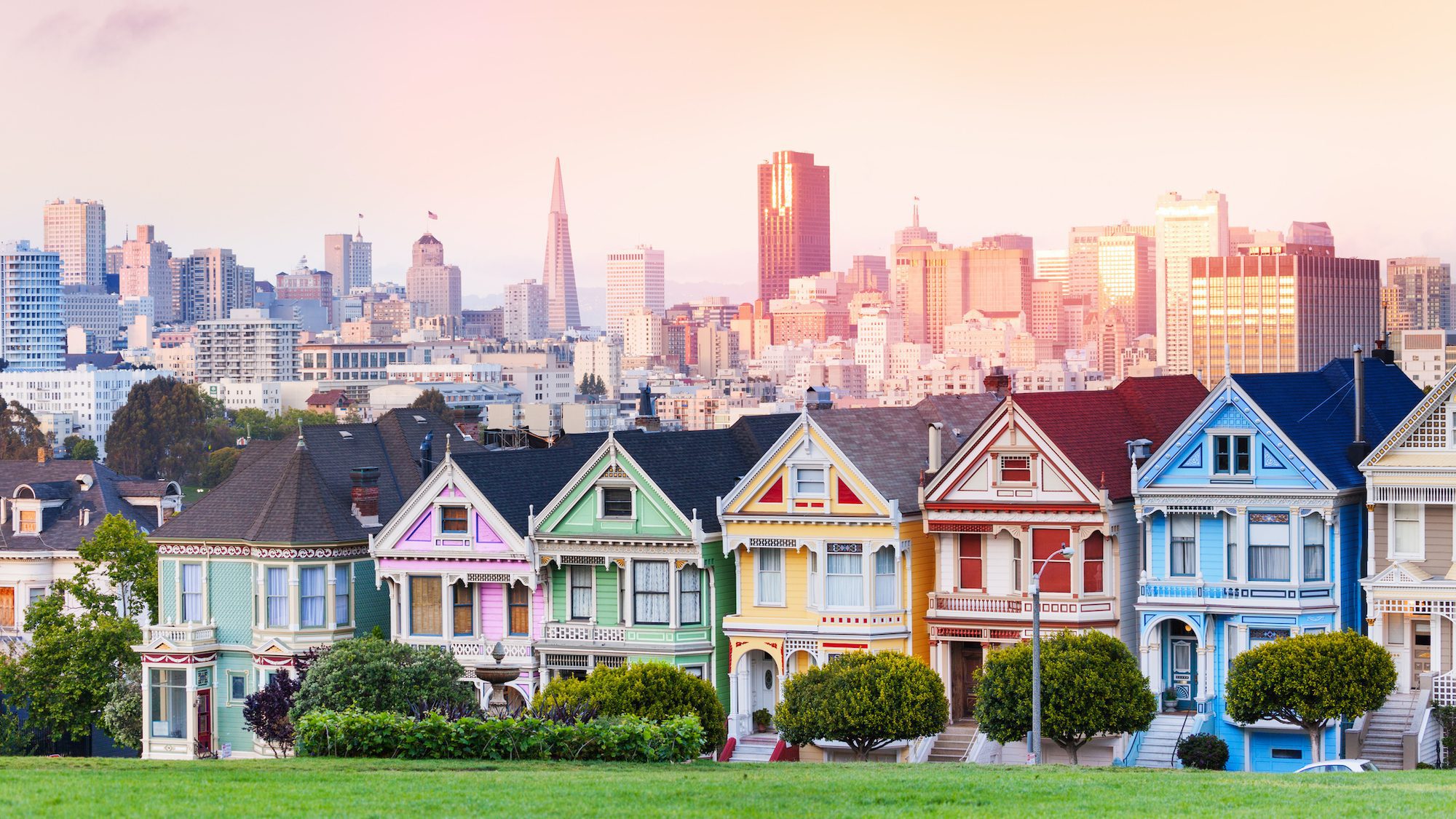 San Francisco downtown skyline and Painted Ladies Victorian houses