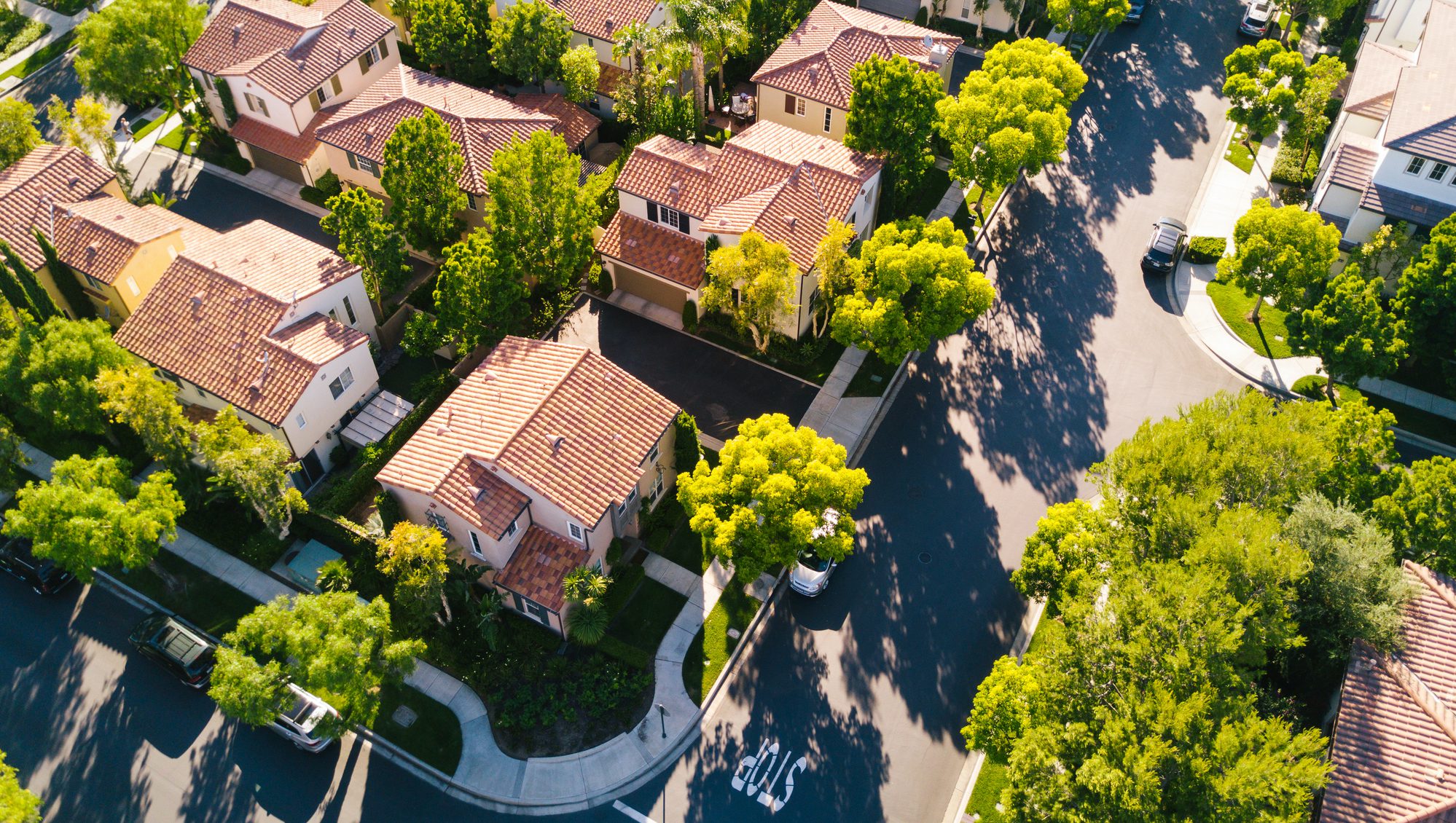 Suburban homes