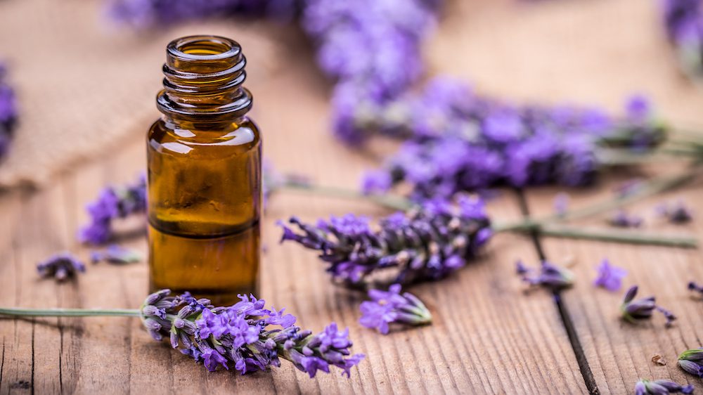 lavender essential oil