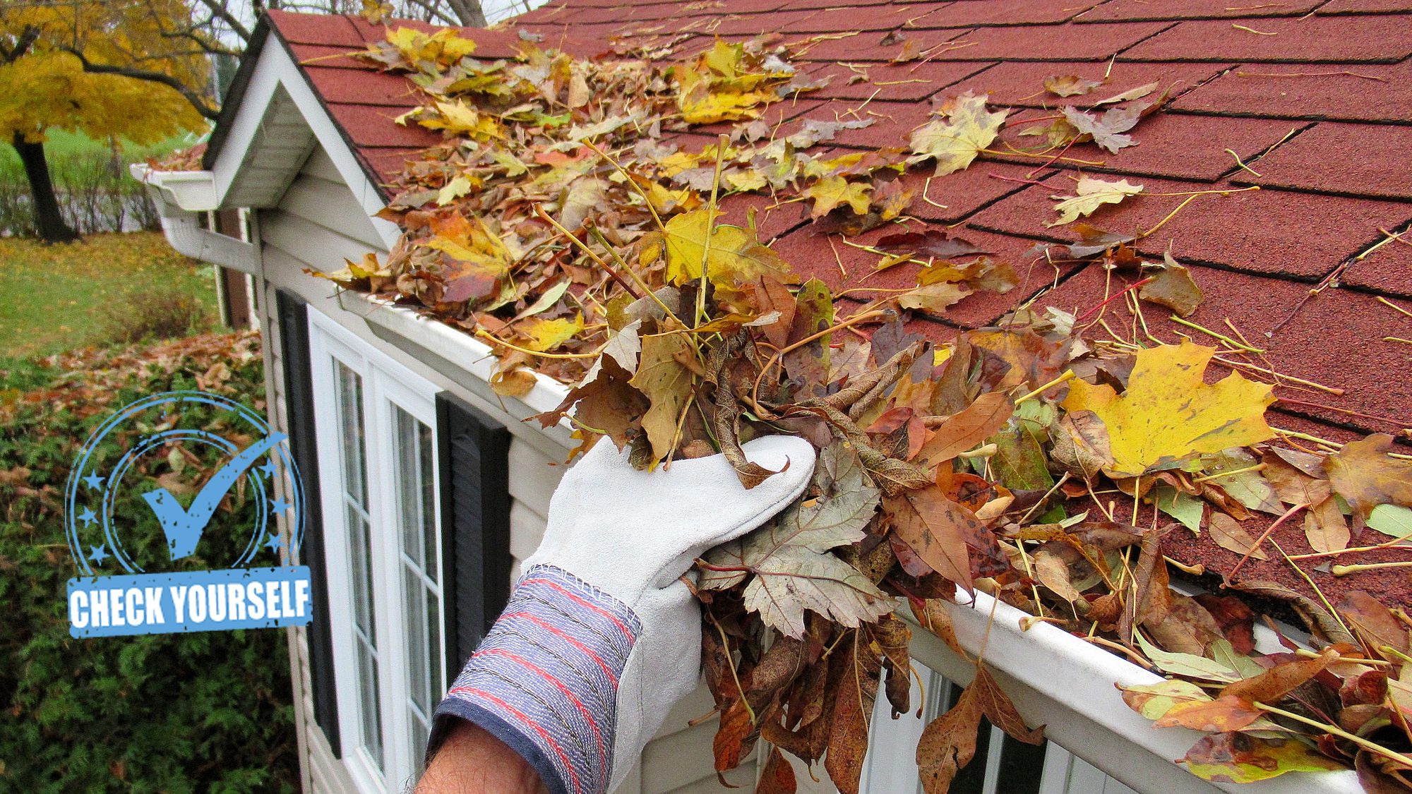 gutter cleaning and maintenance