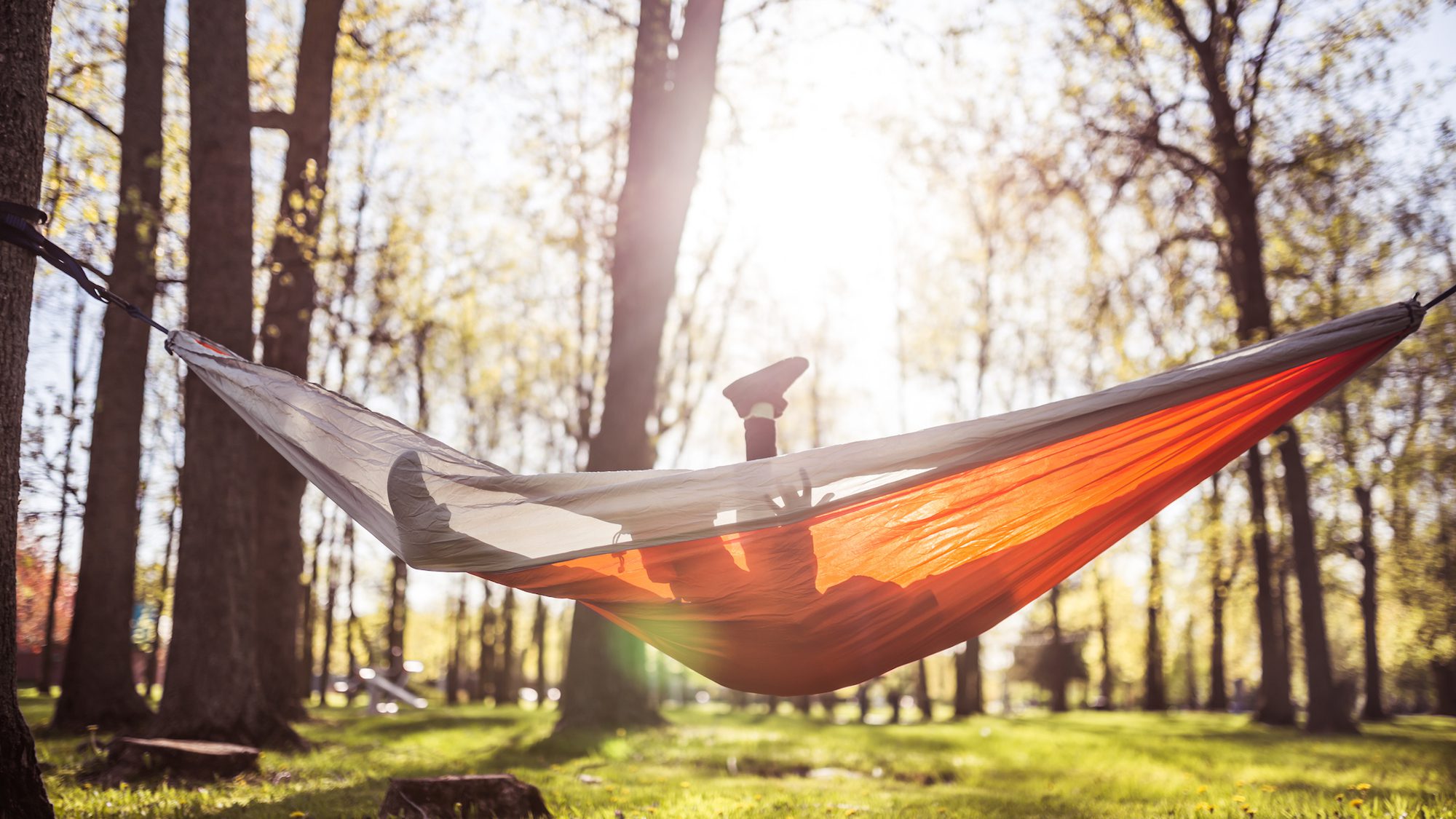 worst hammocks