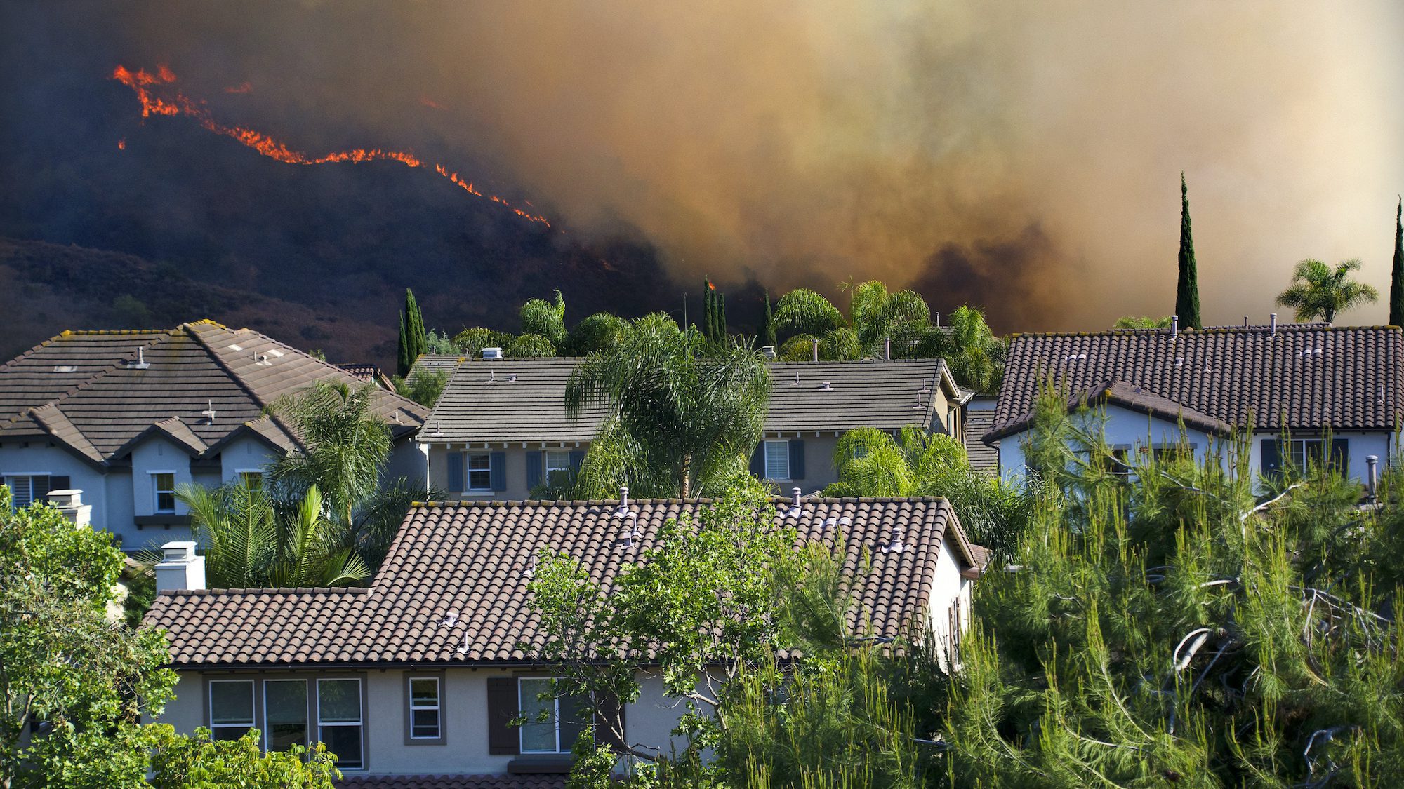 Prices for homes at high-risk of wildfire grew five percentage points slower than those without such risks.