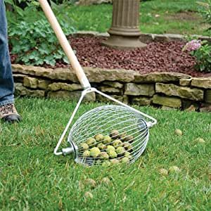 garden nut gatherer